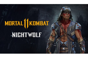 Mortal Kombat 11 - Nightwolf - Steam